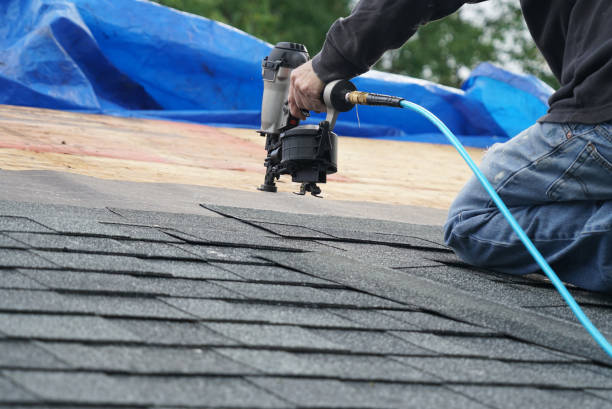 Roof Insulation Installation in Old Fig Garden, CA